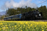 【東武鉄道】SL3両を揃えた写真撮影会を実施します！！