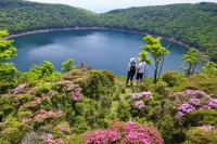 植物学者・牧野富太郎博士が名付け親！「ミヤマキリシマ」霧島山の見ごろは5月中旬から！