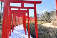 富士山「忍野」に日本の魅力を集約した “絶景フォトスポット”「絶景千本鳥居」 誕生