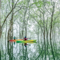 山形県の絶景映えスポット 春限定「白川湖の水没林」体験。
