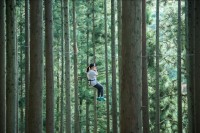 夏の避暑地に最適!「フォレストアドベンチャー・丹波ささやま」自然の中で爽やかなひとときを