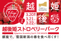 銀座で“幻のいちご”越後姫を食べ尽くす3日間　「2026 越後姫ストロベリーパーク in THE NIIGATA」
