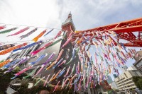 【東京・芝公園】333匹の鯉のぼりと夜桜マッピング！東京タワーで春の特別イベントを5月6日(水・振休)まで開催中