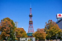 【秋の階段チャレンジ！】景色を楽しみながら456段！さっぽろテレビ塔を階段でのぼろう♪