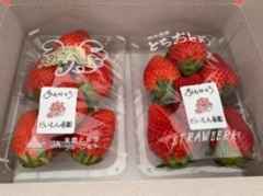 「だいもん苺園×SL大樹」オリジナル手提げセット（イメージ）2