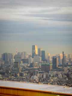 眼下には東京の景色が広がります
