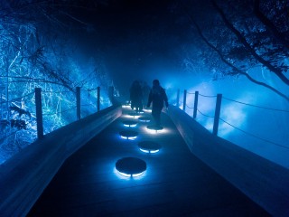 日本初上陸！幻想的な光の中自然を楽しむナイトアドベンチャー「ISLAND LUMINA」登場