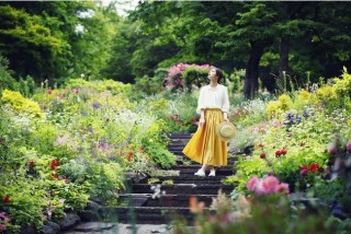 まるで絵画。神戸布引ハーブ園のコンセプトガーデン「四季の庭」は今まさに最盛期