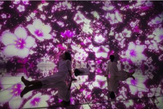 東京・豊洲チームラボプラネッツ2023年3月より【桜】が咲き渡る春限定の作品空間に