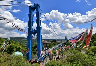 【常陸太田市】1,000匹の鯉のぼりが群泳！「市制施行70周年・合併20周年記念　第33回竜神峡鯉のぼりまつり」開催