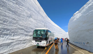 富山県と長野県を結ぶ“立山黒部アルペンルート”が2025年4月15日に全線開通！