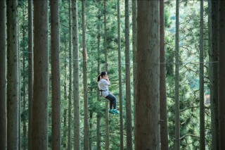夏の避暑地に最適！「フォレストアドベンチャー・丹波ささやま」自然の中で爽やかなひとときを