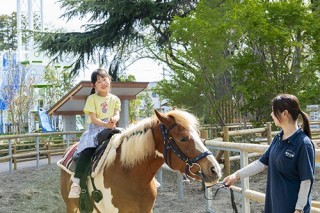 【千葉・野田】清水公園「ポニー牧場」が5月28日(木)に待望のグランドオープン!カピバラやカンガルーも新しく仲間入り