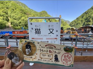 【富山・黒部】日本唯一「猫」がつく駅!黒部峡谷鉄道が愛猫の写真で作る「うちの子ねこきっぷ&缶バッジ」プレゼント企画を実施