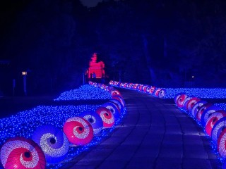 【埼玉・氷川神社】7/4(土)～7(火)光が灯る七夕イベント「和傘の杜～彩の七夕2026～」開催