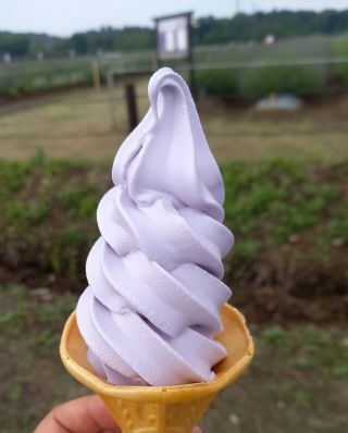 ラベンダーアイスイメージ