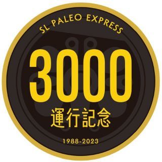 特別ヘッドマーク　イメージ