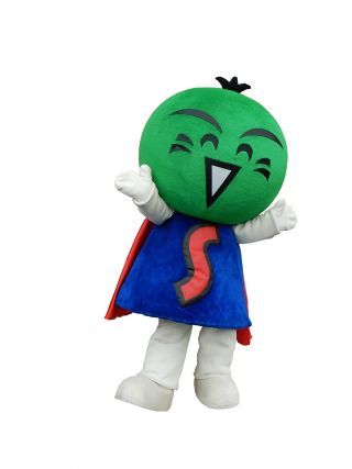 すだちくんイメージ