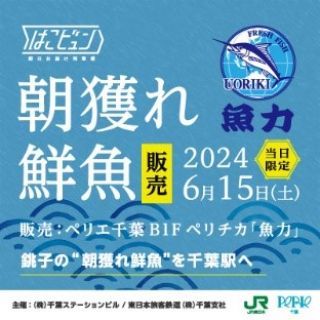 はこビュン 朝獲れ鮮魚イメージ