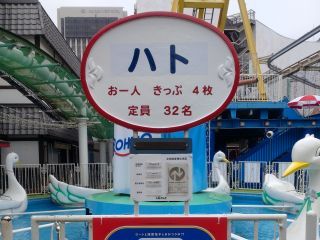 ほら、ハトでしょ？