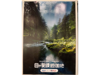 ブロッコリーブラザーズが左の方に隠れているよ！