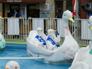 浅草花やしきの人気アトラクション、スワ...ハトです。
