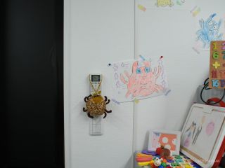 身の回りのものにいると考えると...私も嫌悪感