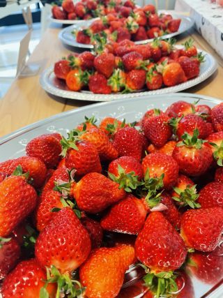 昨年のストロベリーパークの様子2