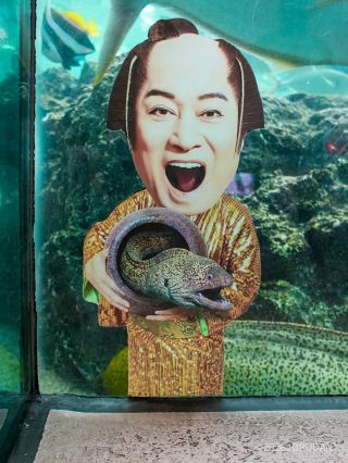 マツケンまみれ！
