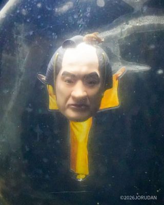 フウセンウオがまげに乗ればパーフェクト