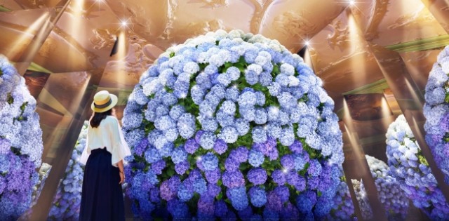 ハウステンボスで日本最多1,250品種が彩る「あじさい祭」開催！