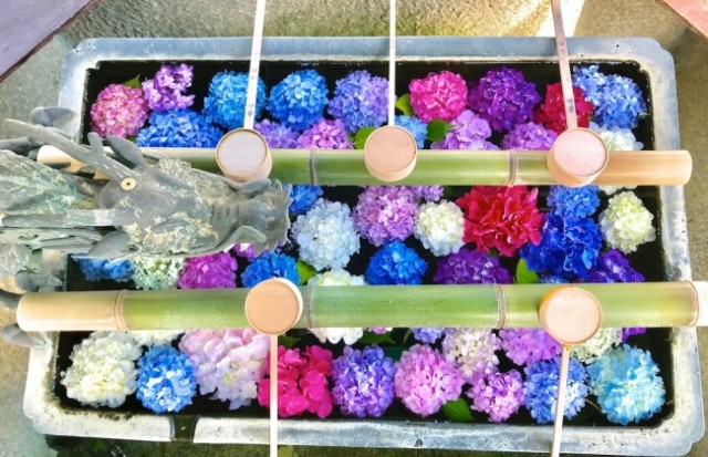 手水鉢に花を浮かべた花手がSNSで大人気！「柳谷観音 楊谷寺」