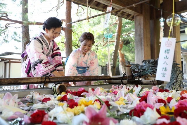 約2,000個の風鈴を飾る「桜山風鈴まつり」2022年7月23日から開催