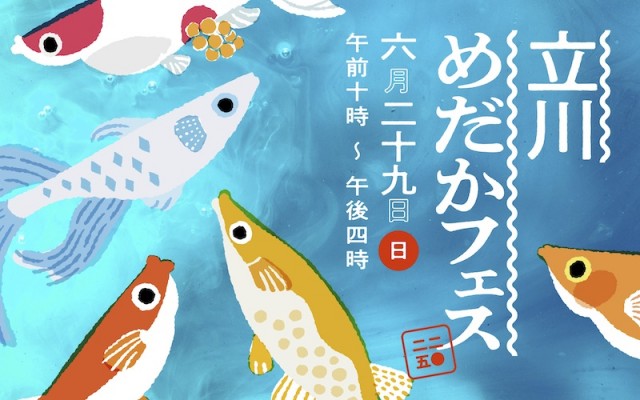 【立川】全国各地からめだか屋さんが集結する毎年好評のめだかイベント「立川めだかフェス」開催