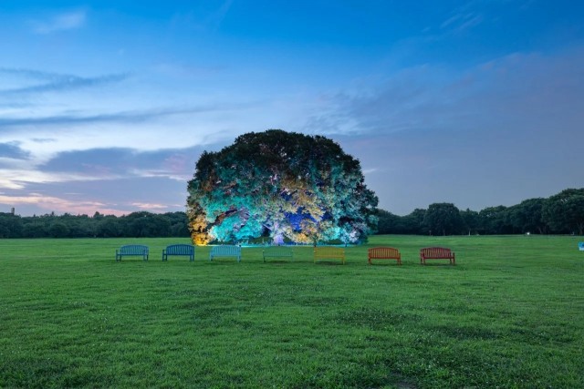 国営昭和記念公園、夏の特別夜間開園「ほしぞら散歩」を開催