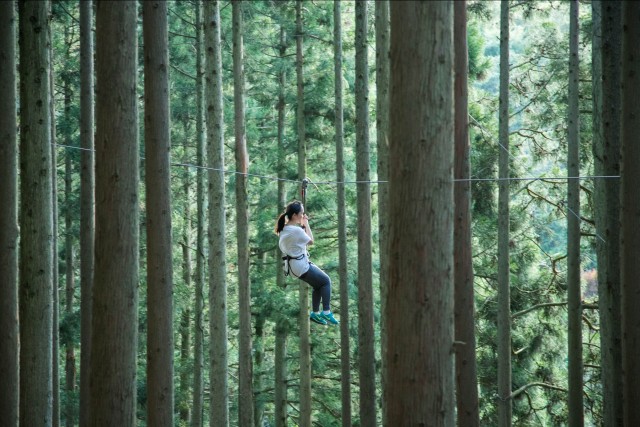 夏の避暑地に最適！「フォレストアドベンチャー・丹波ささやま」自然の中で爽やかなひとときを