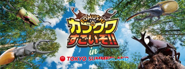【東京サマーランド】世界中の希少なカブクワ大集合！！