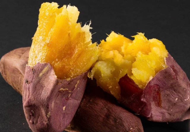 【千葉・幕張】初開催の「焼き芋マルシェ」や「鉄道ジャンク市」に注目！「幕張メッセ“どきどき”フリーマーケット2026」5月2日(土)より開幕