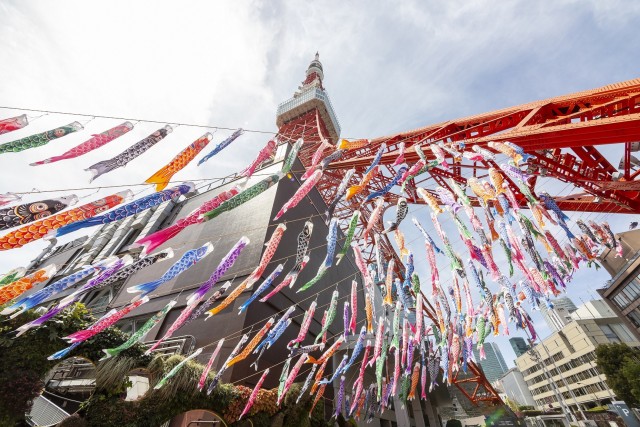 【東京・芝公園】333匹の鯉のぼりと夜桜マッピング！東京タワーで春の特別イベントを5月6日(水・振休)まで開催中