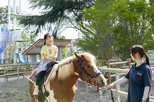 【千葉・野田】清水公園「ポニー牧場」が5月28日(木)に待望のリニューアルオープン！カピバラなど新しい仲間も登場