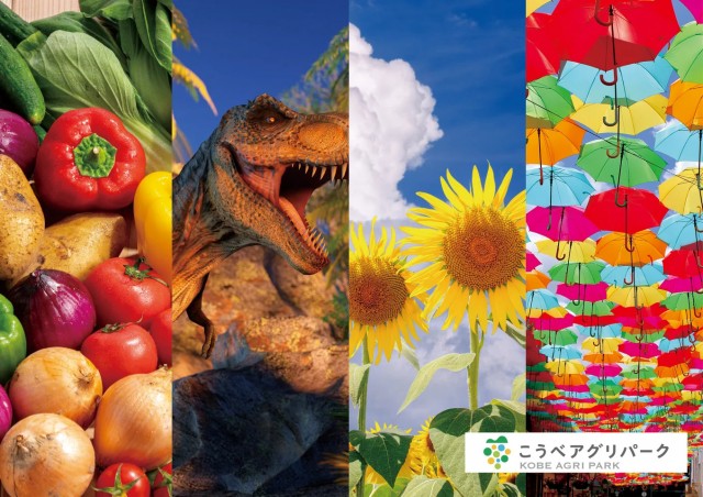 夏休みは「こうべアグリパーク」で遊びつくそう！『アグリサマーフェスタ！2026』開催