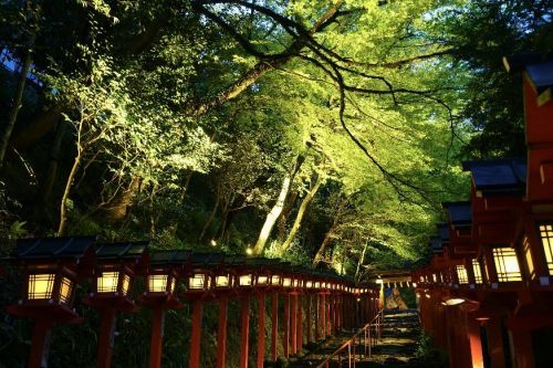 貴船神社「新緑ライトアップ」イメージ