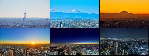 てんぼうの丘方面から見ることができる景色（南側）