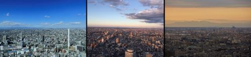 イベントスペース方面から見ることができる景色（北側）