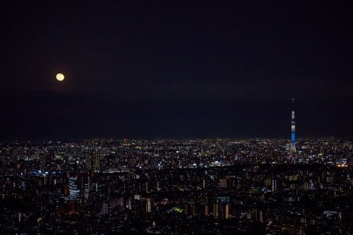 「日本百名月」に認定された景色