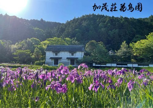加茂荘花鳥園