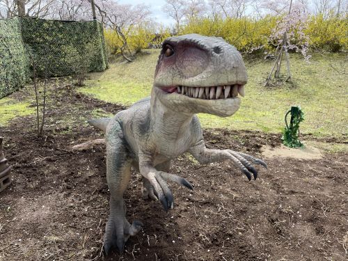 ぐりんぱ恐竜パーク　イメージ2
