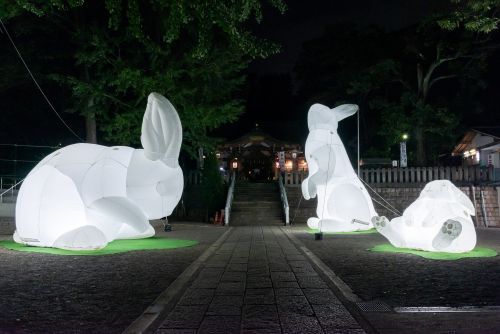 昨年の様子「Intrude」（北澤八幡神社）Intrude by Amanda Parer. Image Masataka Tanaka.