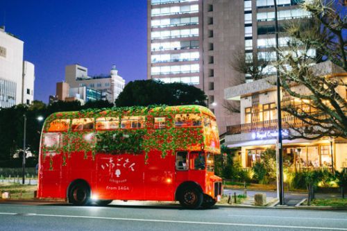 バス車内でいちご狩り＆いちごアフタヌーンティーを楽しむ体験型バスツアー
