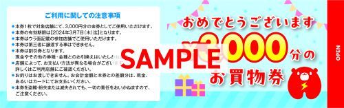 3,000円分のお買物券イメージ